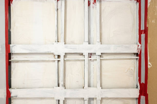Best Attic Mold Removal  in Taylorsville, KY